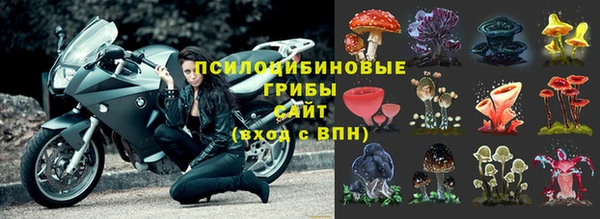 мдпв Балабаново